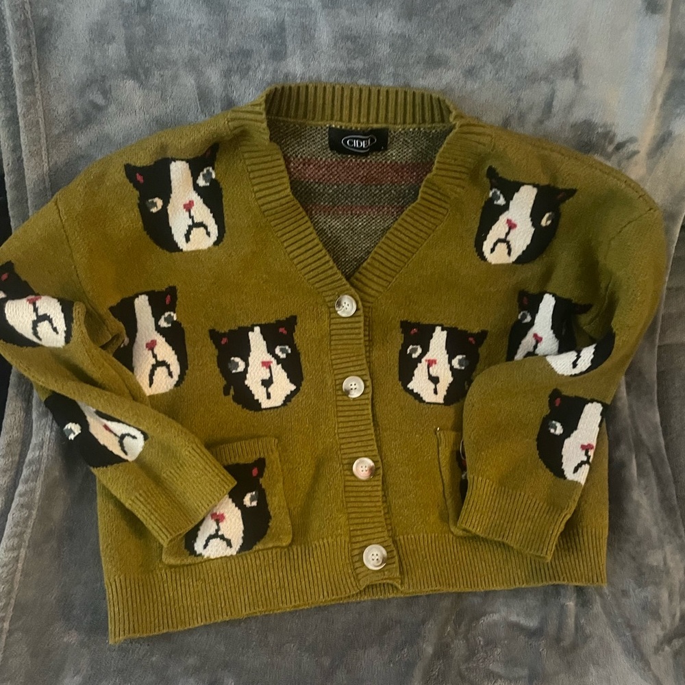 Cat(?), Boston terrier (?) cardigan. Like new cropped